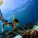 Discovery snorkeling adventure in Split Croatia
