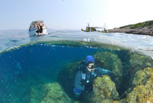 Diving on Brac