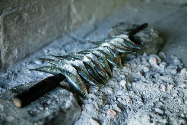 Grilled sardines on an open grill
